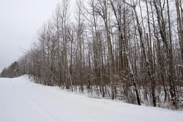 $89,700 | Xxxx Sheridan Woods Lane Northeast, Outing, MN 56662