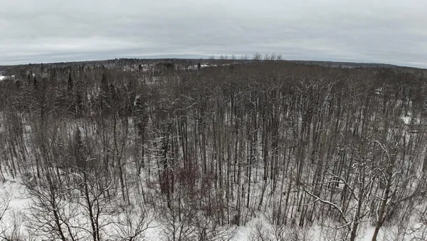 $89,700 | Xxxx Sheridan Woods Lane Northeast, Outing, MN 56662