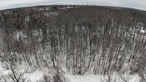 $89,700 | Xxxx Sheridan Woods Lane Northeast, Outing, MN 56662