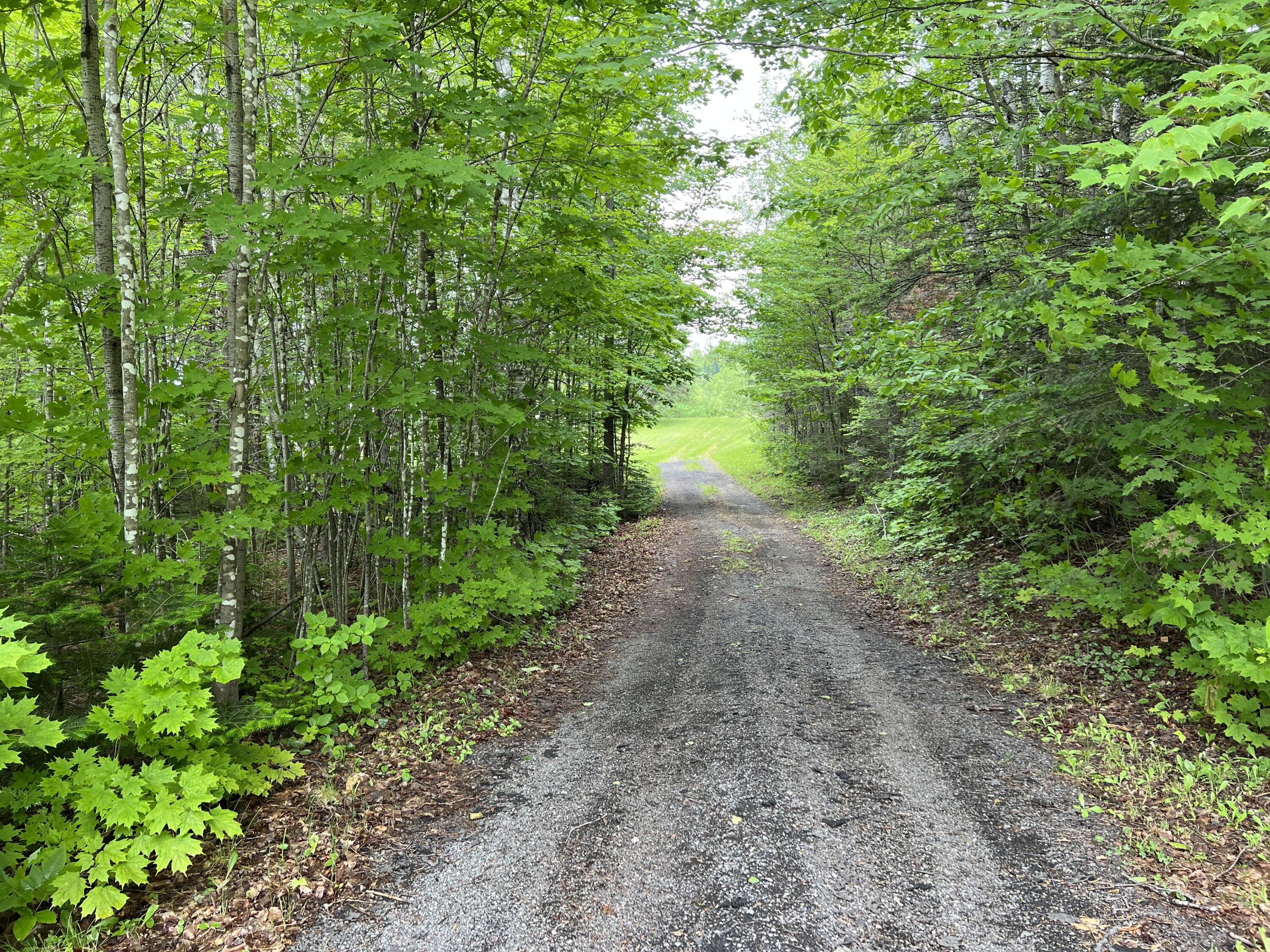 0 Nelson Road Oakfield, ME 04763 - Photo 31 of 51 IMG_6276
