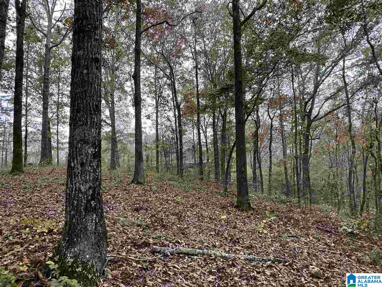 975 Deer Trace Road Pell City, AL 35125 - Photo 4 of 5