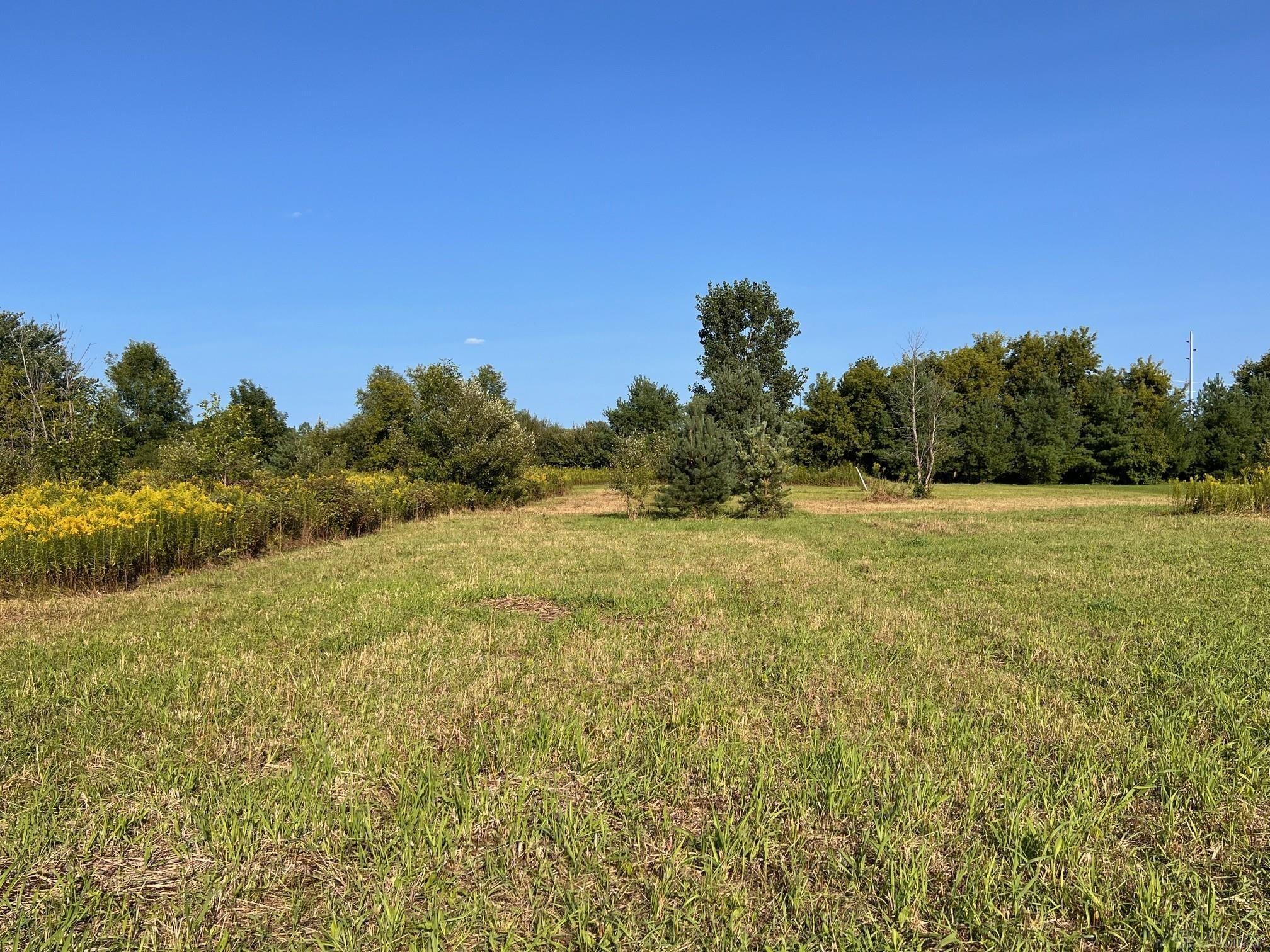 3611 Sanilac Road Carsonville, MI 48419 - Photo 6 of 18 50153109-140215f1-fd65-49e1-9407-dbe29ae23913.JPG