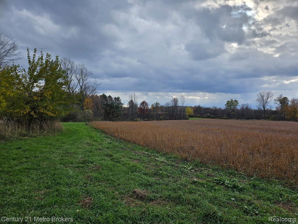 4153 North Lake Road Columbiaville, MI 48421 - Photo 30 of 61 Gallery Image 30