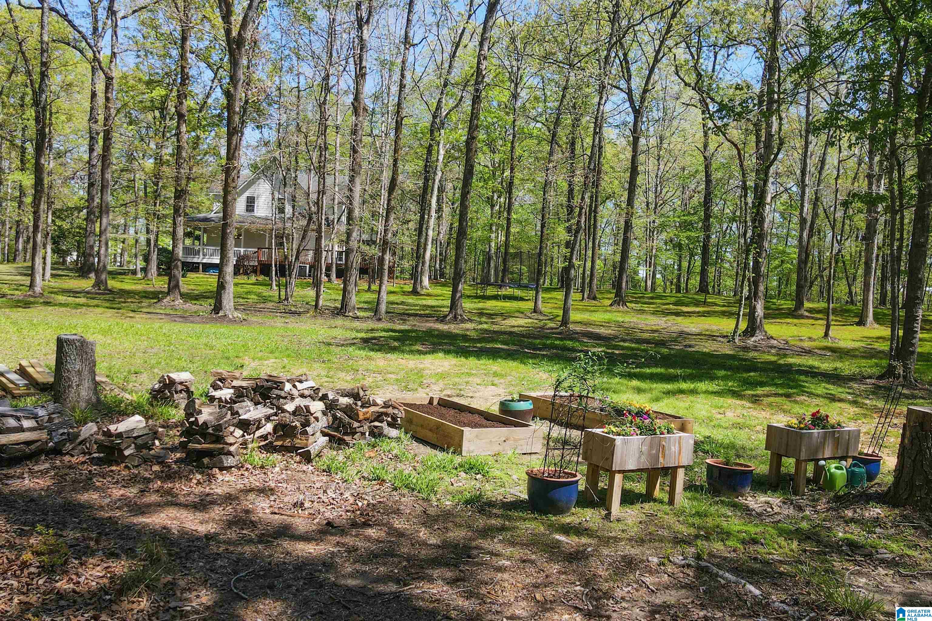 370 Dorough Road Columbiana, AL 35051 - Photo 68 of 89 Gallery Image 68