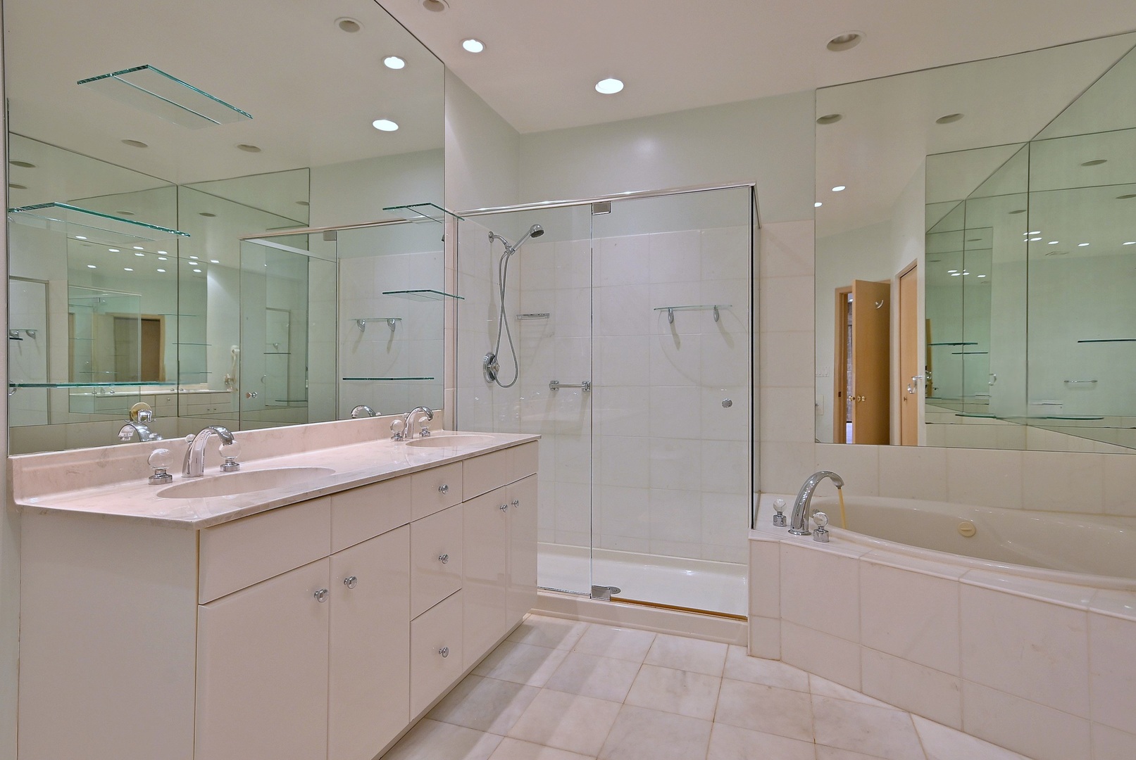 1735 Park Ridge Point Park Ridge, IL 60068 - Photo 19 of 64 a spacious bathroom with a shower sink mirror and a bathtub