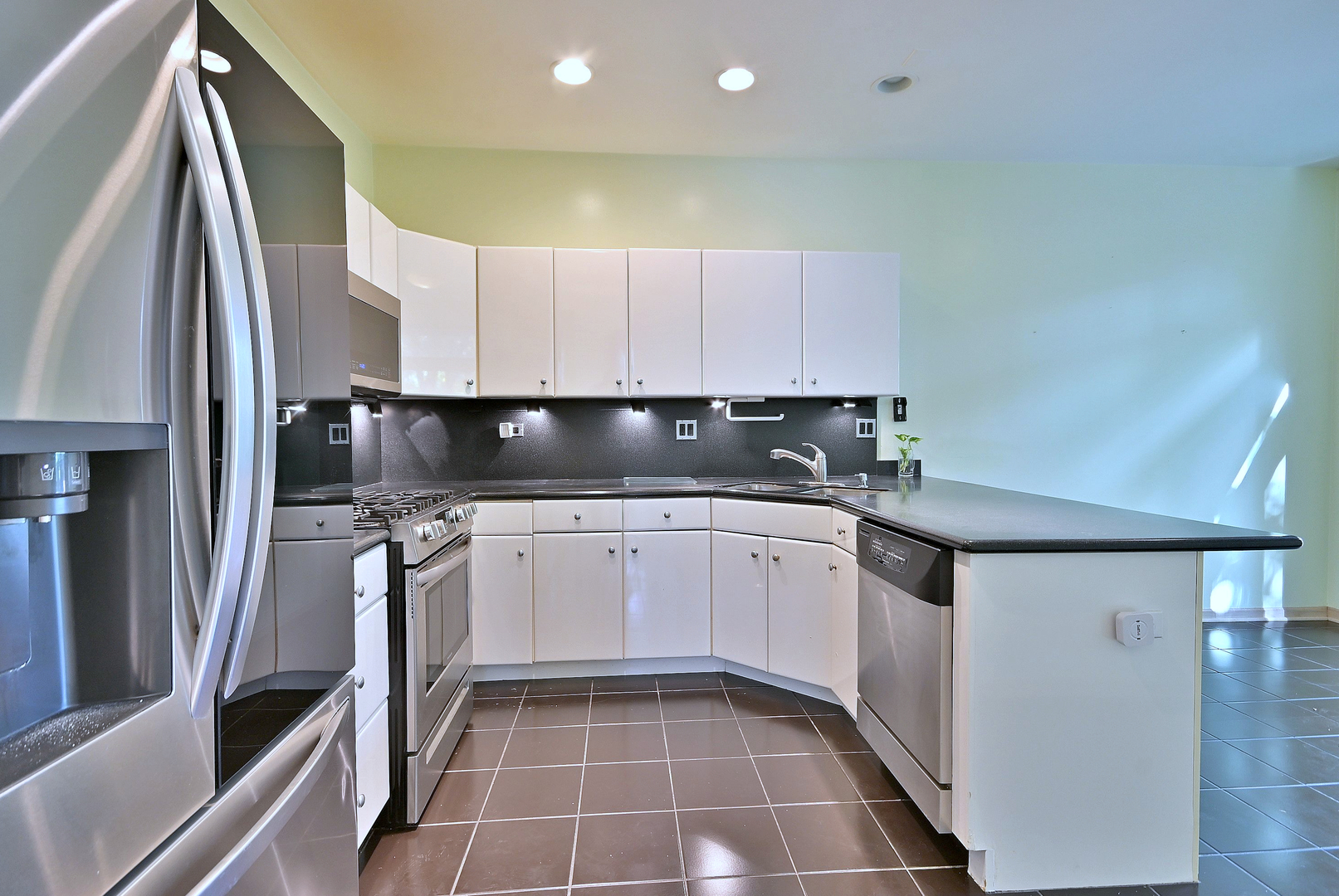 1735 Park Ridge Point Park Ridge, IL 60068 - Photo 25 of 64 a kitchen with stainless steel appliances granite countertop a sink a stove and a refrigerator