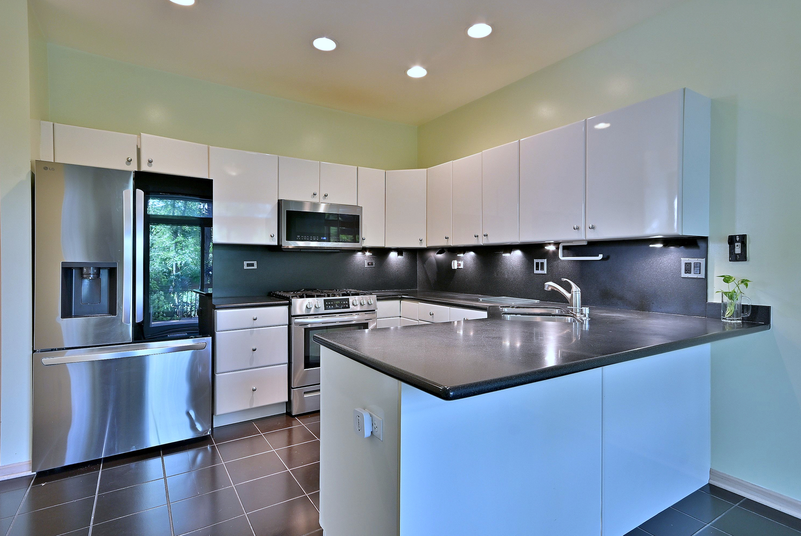 1735 Park Ridge Point Park Ridge, IL 60068 - Photo 27 of 64 a kitchen with granite countertop a sink a stove and cabinets