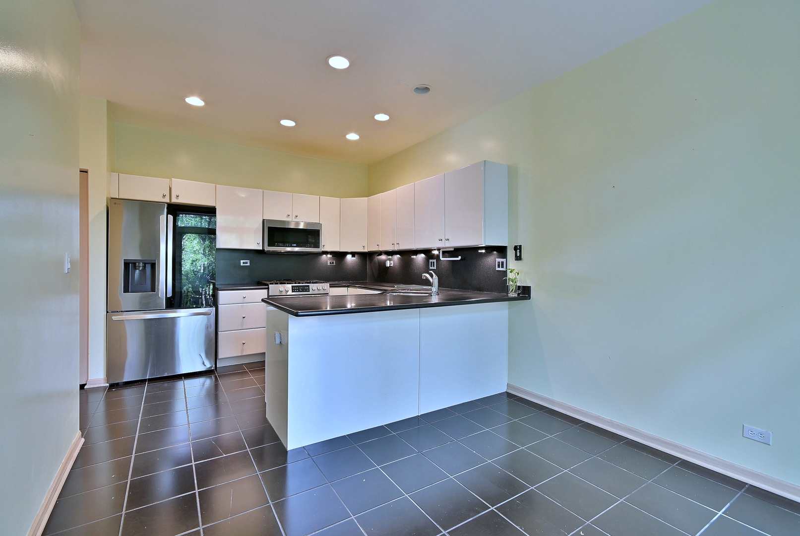 1735 Park Ridge Point Park Ridge, IL 60068 - Photo 30 of 64 a kitchen with stainless steel appliances a refrigerator and a stove top oven