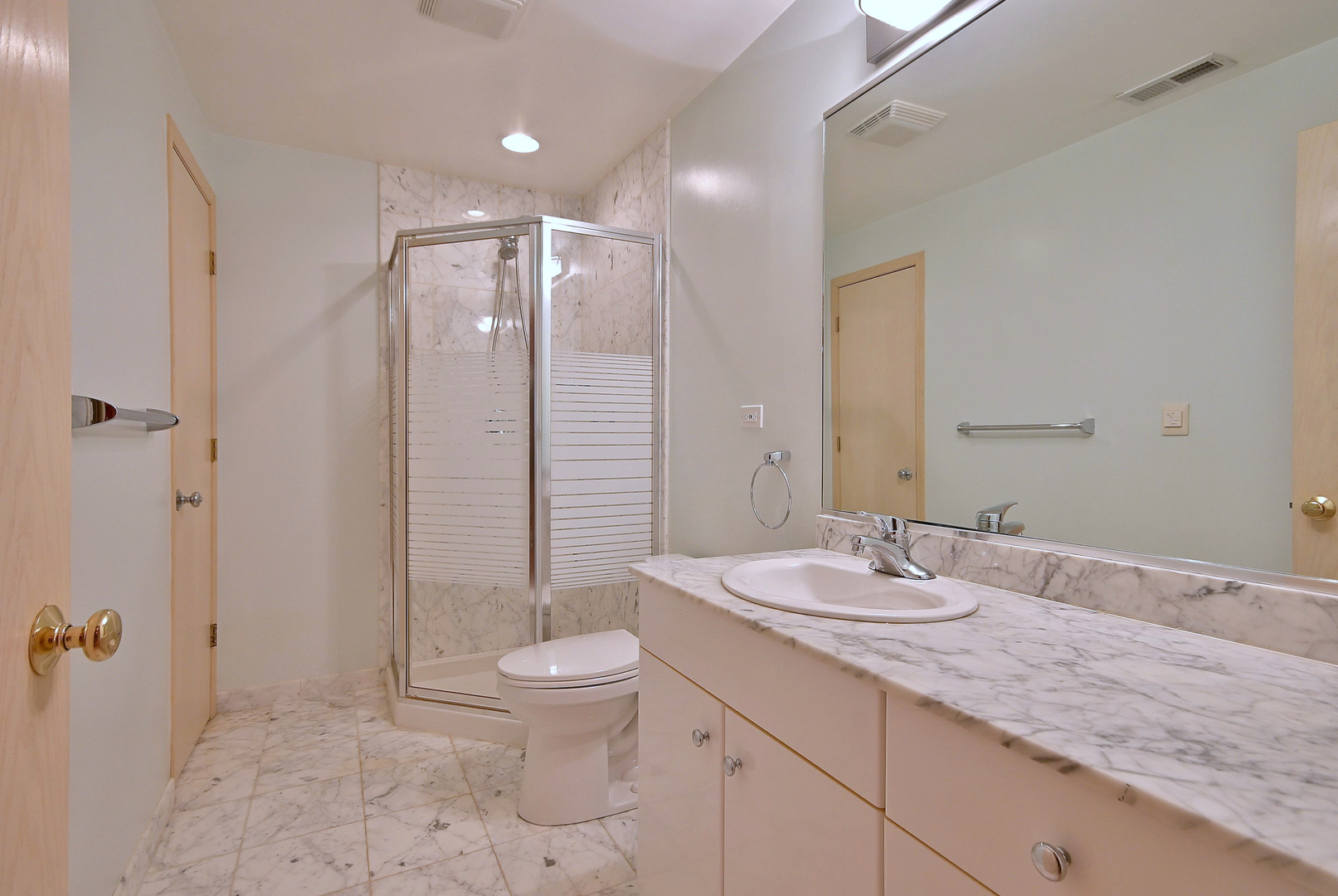1735 Park Ridge Point Park Ridge, IL 60068 - Photo 52 of 64 a bathroom with a granite countertop sink a toilet and shower
