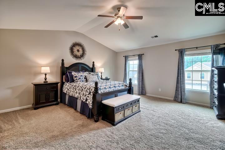 828 Red Solstice Court Lexington, SC 29073 - Photo 6 of 16
