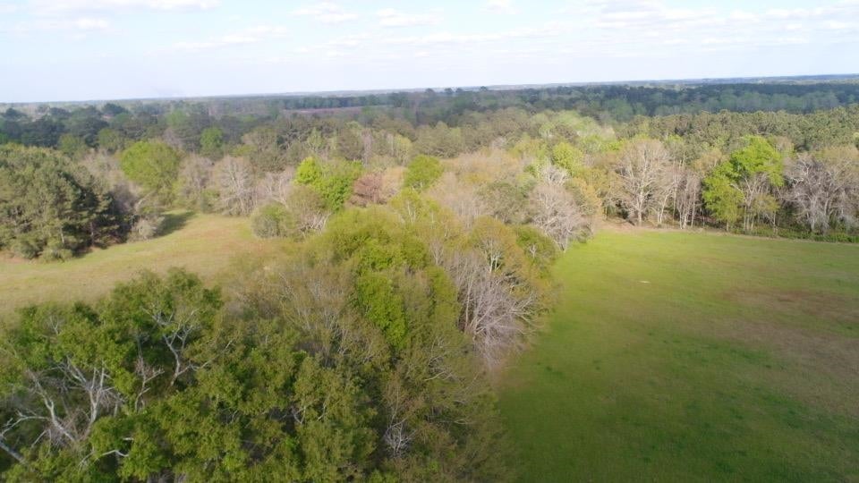 0 Shoemaker Road Andalusia, AL 36421 - Photo 5 of 7 Gallery Image 5