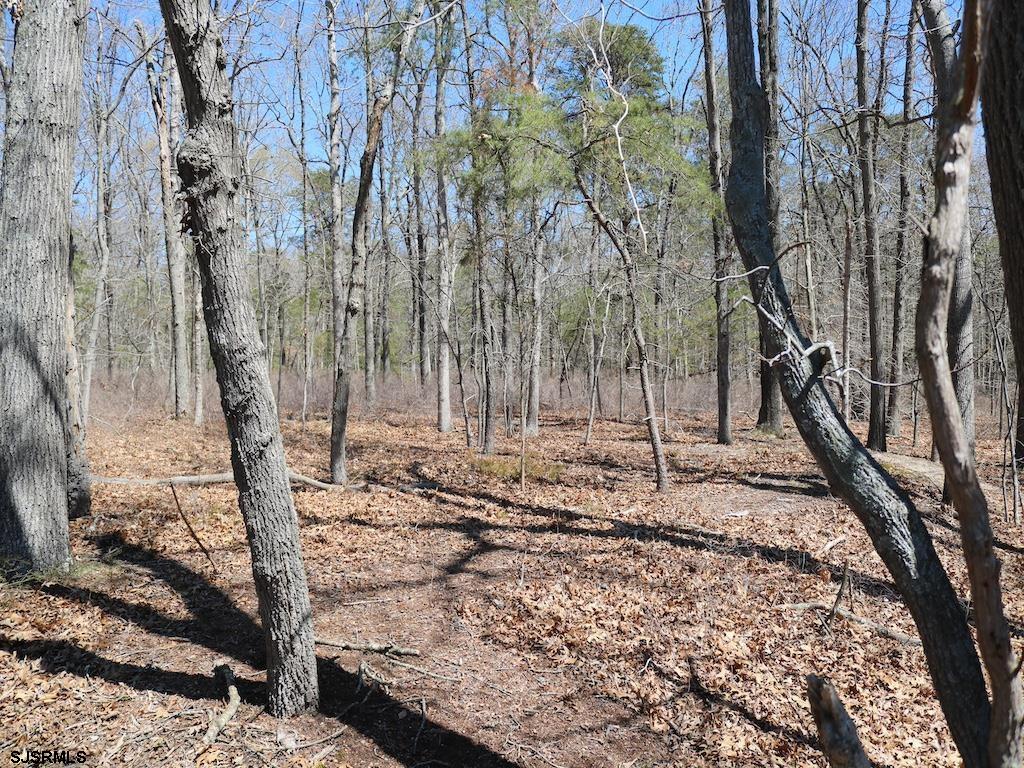 351 Shaws Mill Road Newport, NJ 08345 - Photo 59 of 84