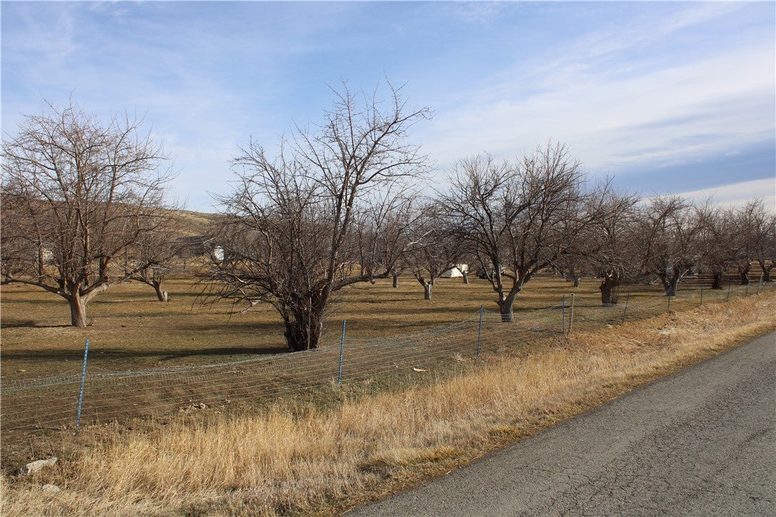 508 Bridger Fromberg Road Fromberg, MT 59029 - Photo 19 of 24 Gallery Image 19