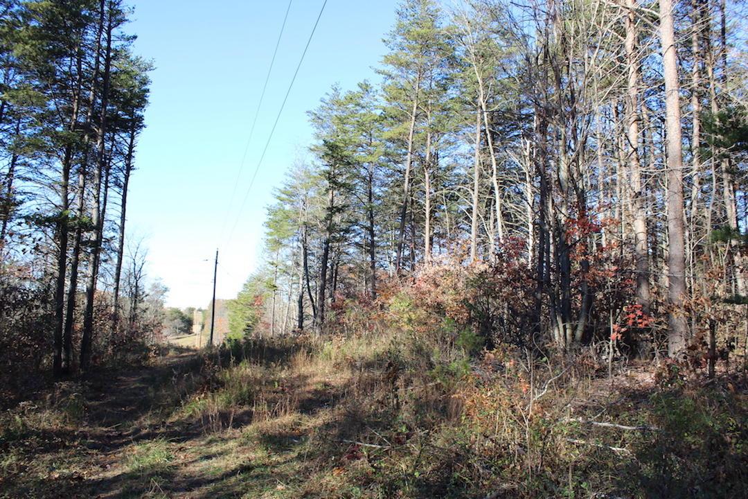 0 Veto Road Vincent, OH 45784 - Photo 3 of 14 Gallery Image 3