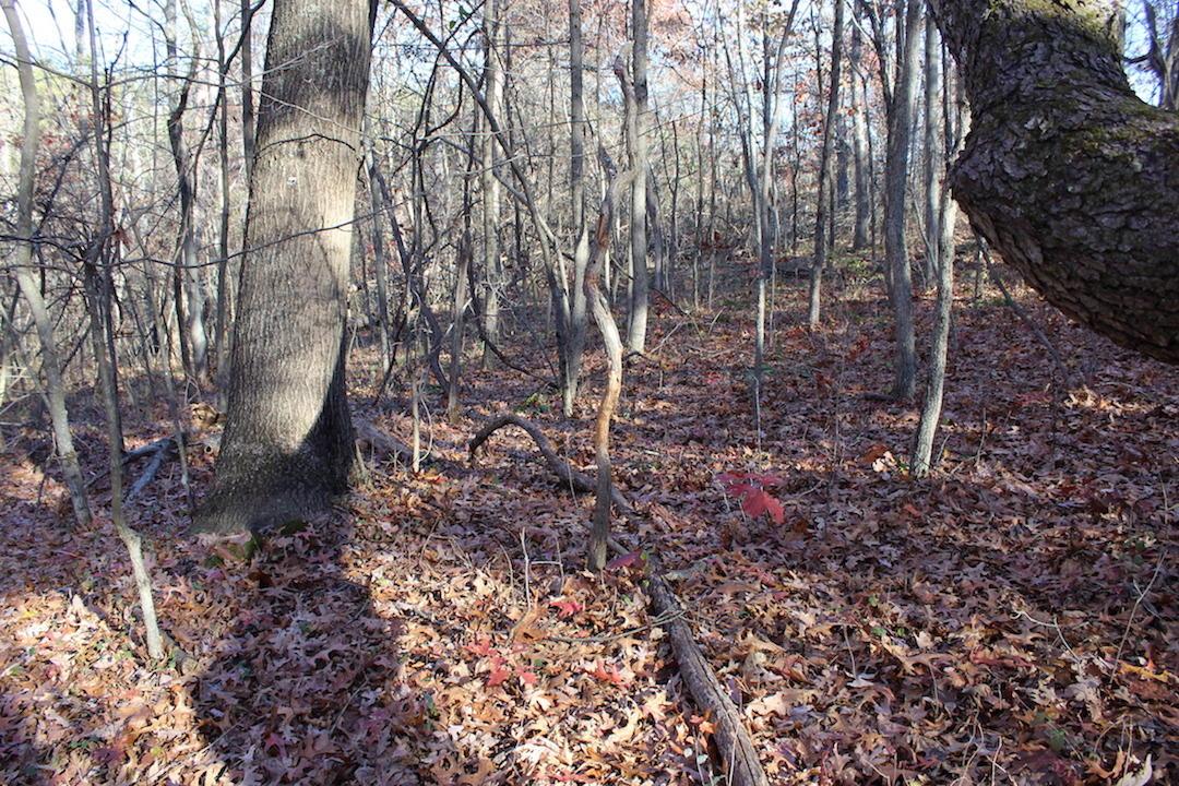 0 Veto Road Vincent, OH 45784 - Photo 7 of 14 Gallery Image 7