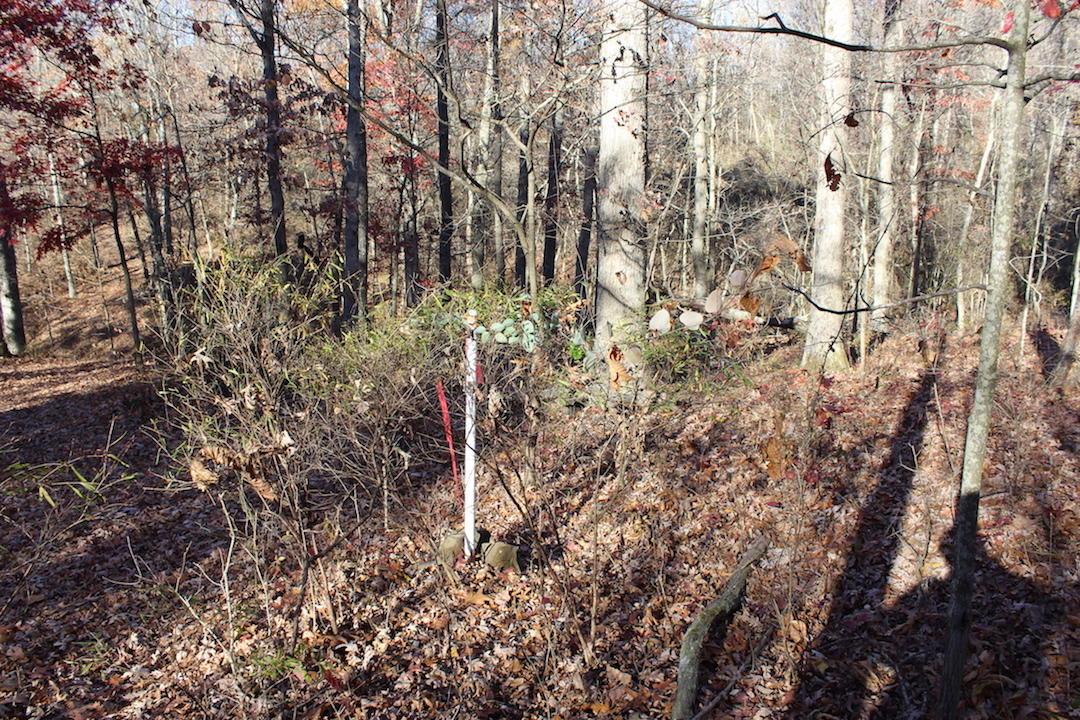 0 Veto Road Vincent, OH 45784 - Photo 8 of 14 Gallery Image 8