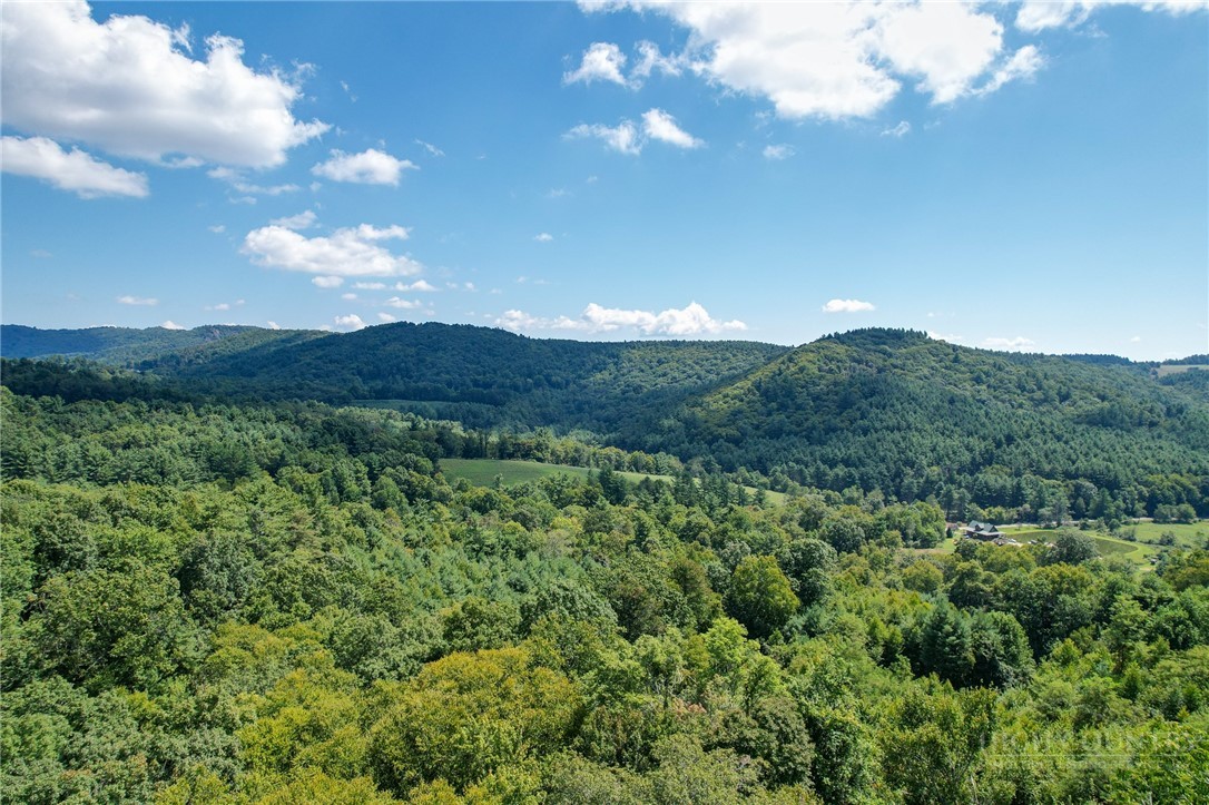 Elk Ridge Lane Laurel Springs, NC 28644 - Photo 27 of 27 Gallery Image 27