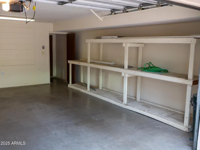 a view of a forest with a tree