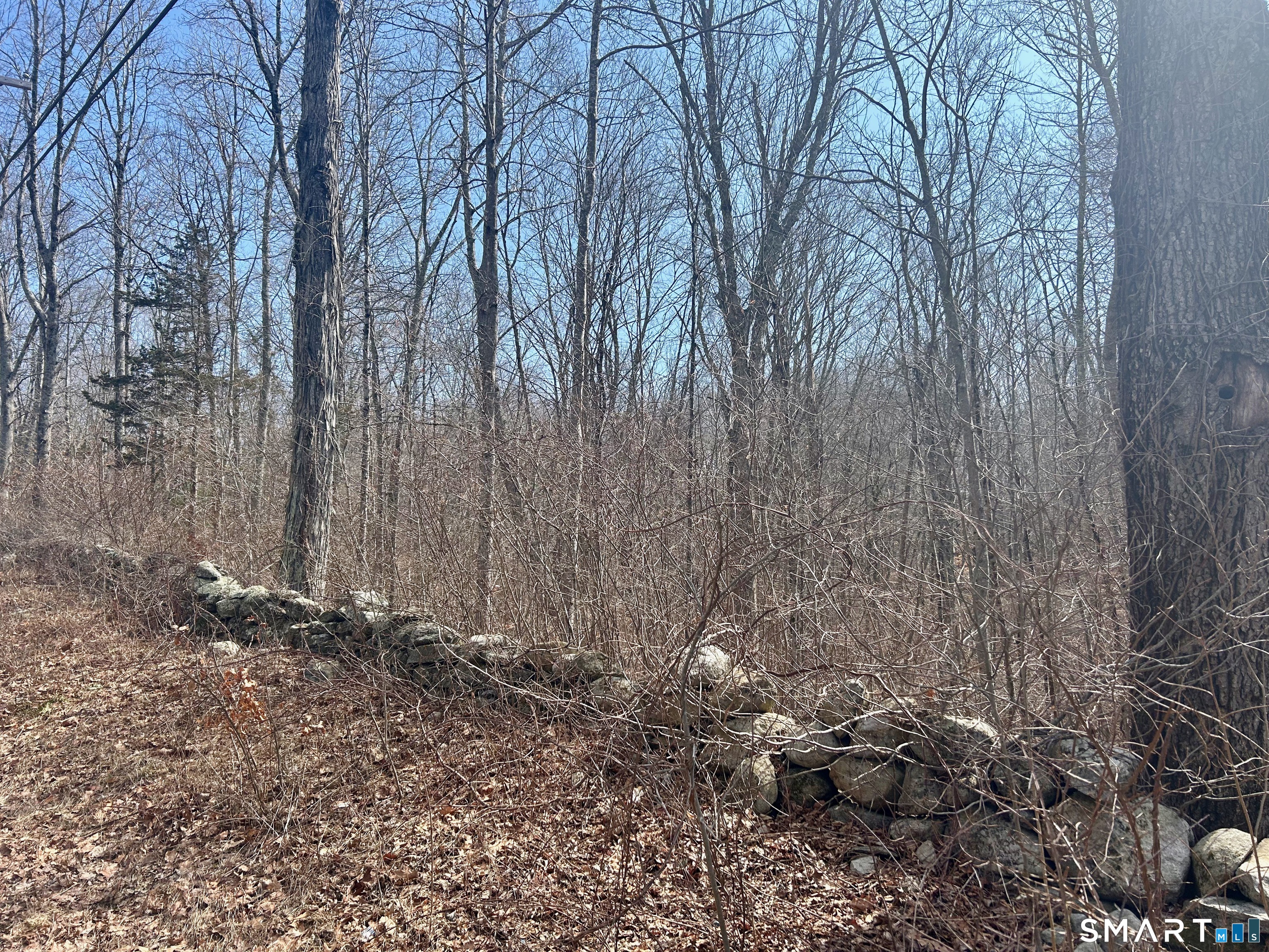 Reilly Road Hampton, CT 06247 - Photo 5 of 8