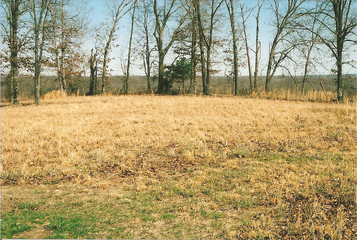 Tbd Jesse James Road Anderson, MO 64831 - Photo 1 of 1 #09706-2