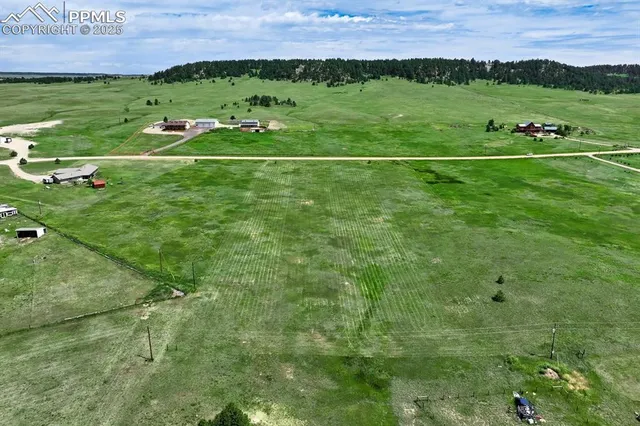 a view of a grassy field with an trees
