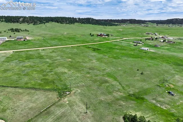 a view of a grassy field with an trees
