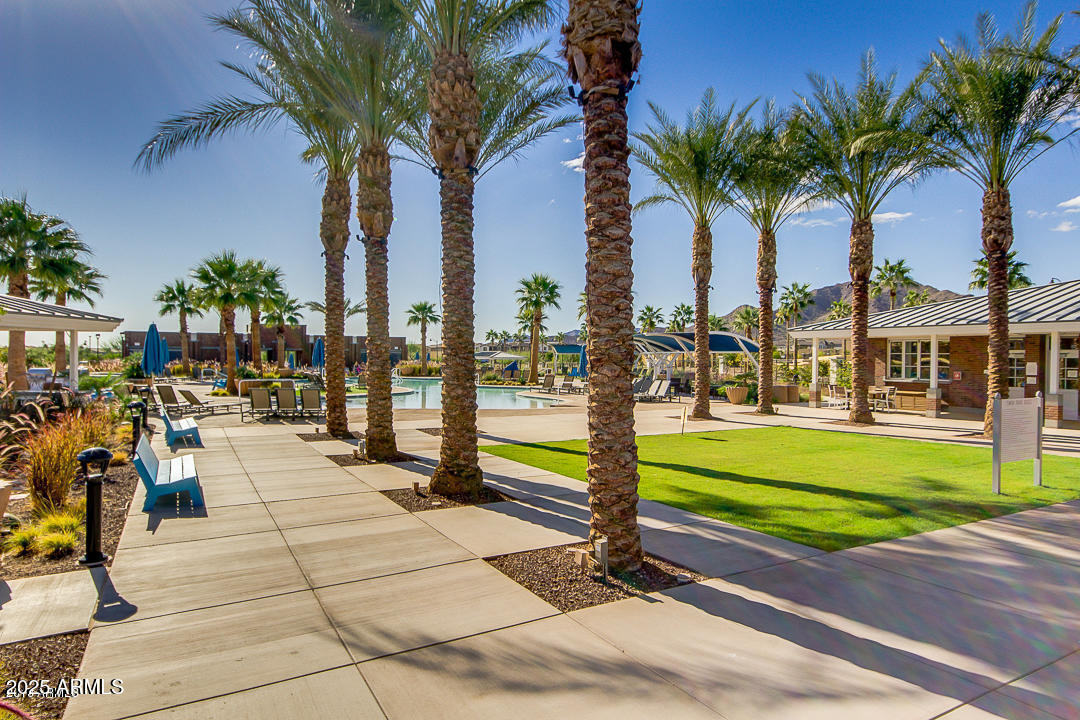 21287 North Black Rock Road, Unit 96 Buckeye, AZ 85396 - Photo 47 of 53 a view of a park with palm trees