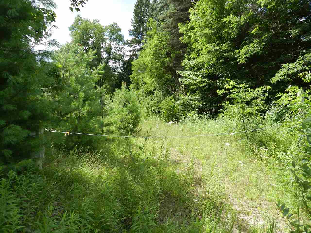 7529 Blue Road Southwest Fife Lake, MI 49633 - Photo 7 of 62 1865960-6.JPG
