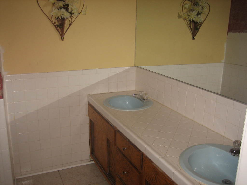 318 East Carter Road Phoenix, AZ 85042 - Photo 6 of 7 Bathroom