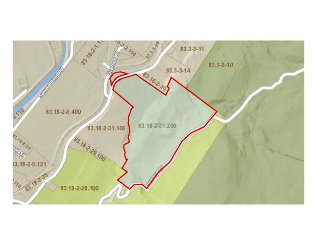 a close up of a plant in a yard