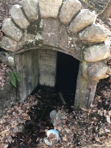 a view of a lots of trees