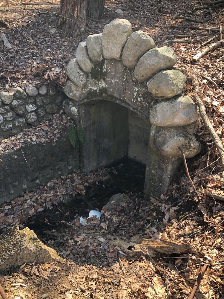 Berme Road Ellenville, NY 12428 - Photo 4 of 6 a close up of a plant in a yard