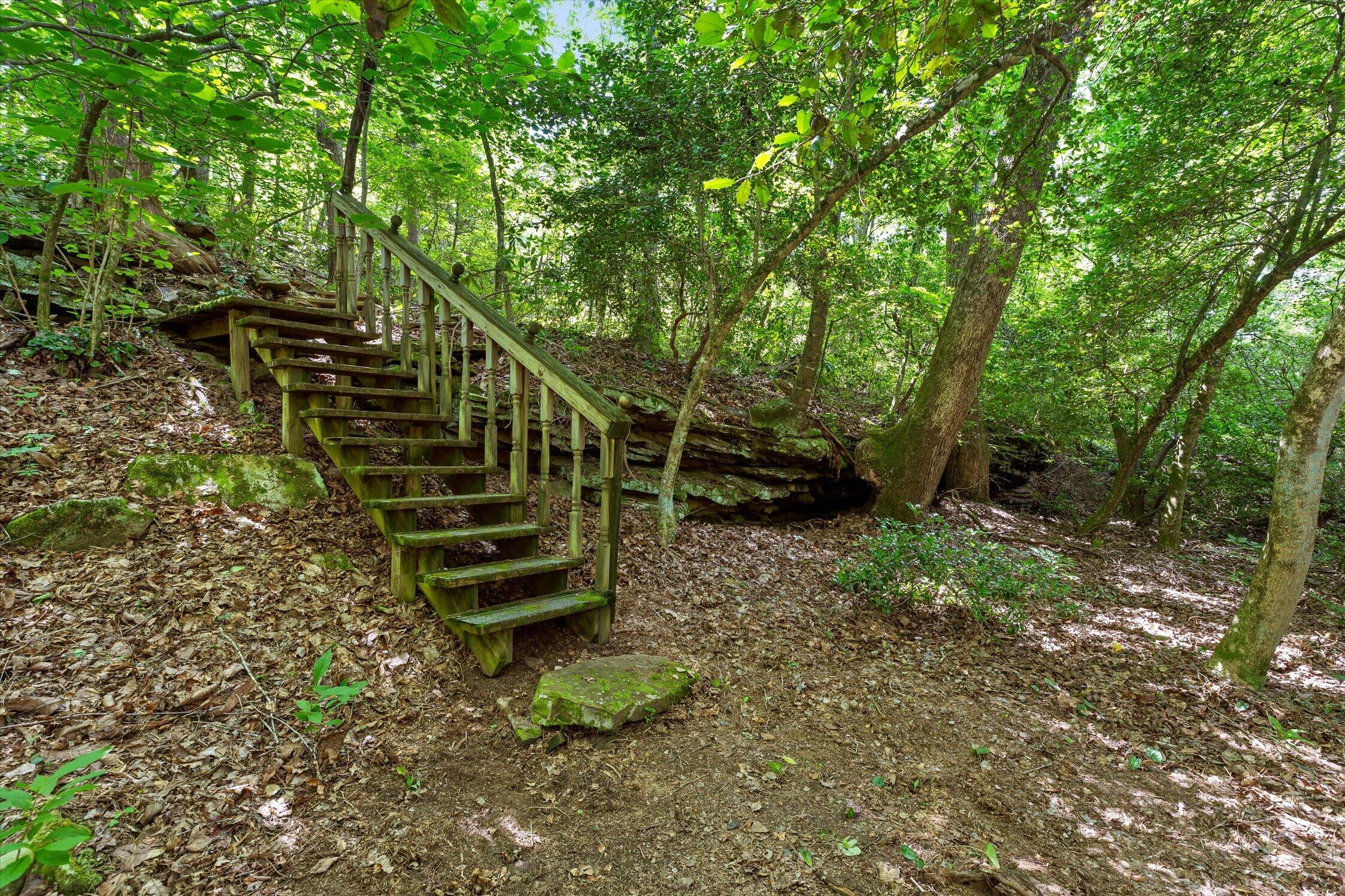 390 Moon Lake Road Mentone, AL 35984 - Photo 50 of 60 62-Moon Lake-62