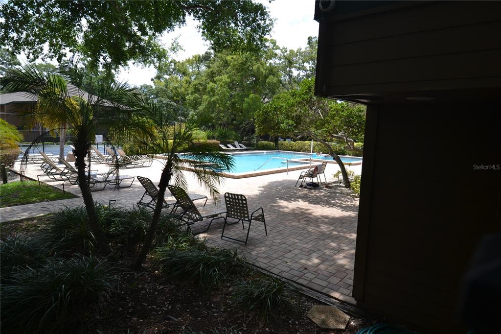 605 Lennox Road West Palm Harbor, FL 34683 - Photo 34 of 37