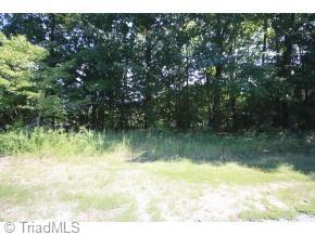 2115 Doe Run Road Mebane, NC 27302 - Photo 4 of 18 Gallery Image 4