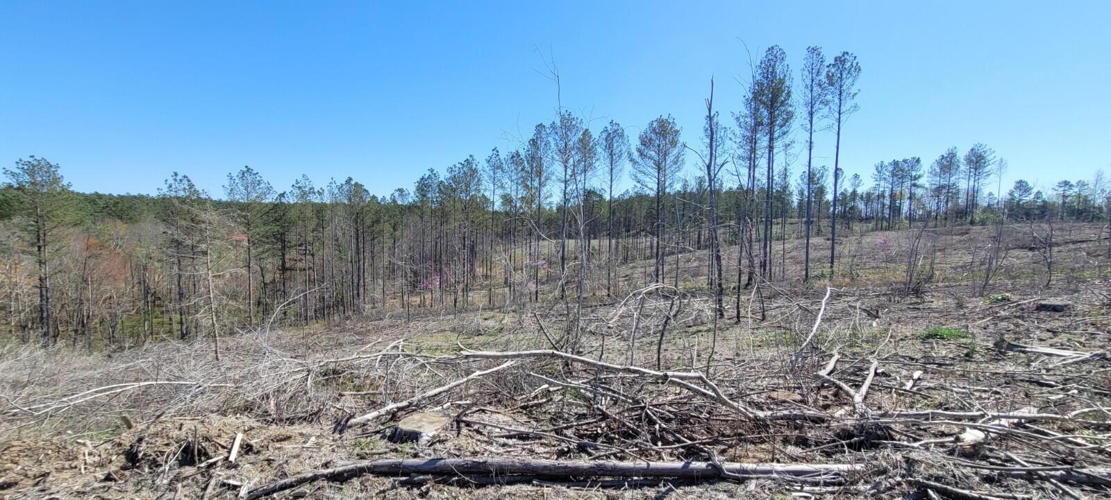 0 Sam Hodges Road Hodges, SC 29653 - Photo 5 of 10