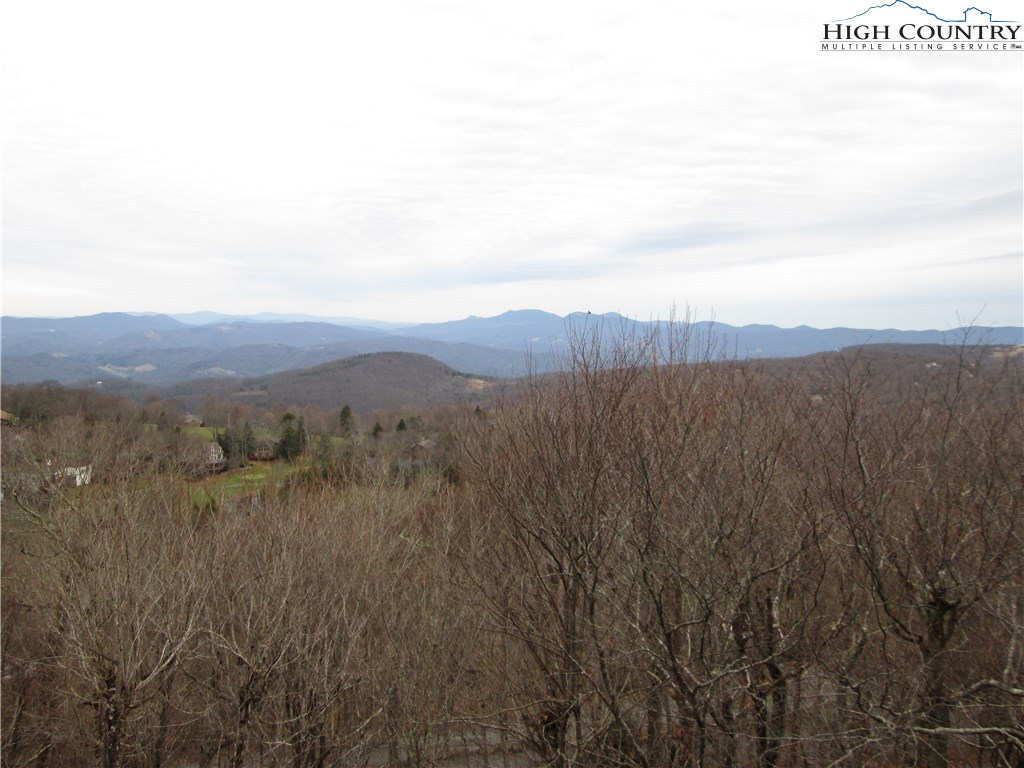 138 Village Road Beech Mountain, NC 28604 - Photo 2 of 14 Gallery Image 2