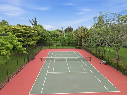 a view of a tennis ground with large trees