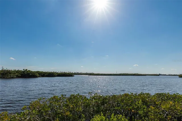 a view of a lake from a yard