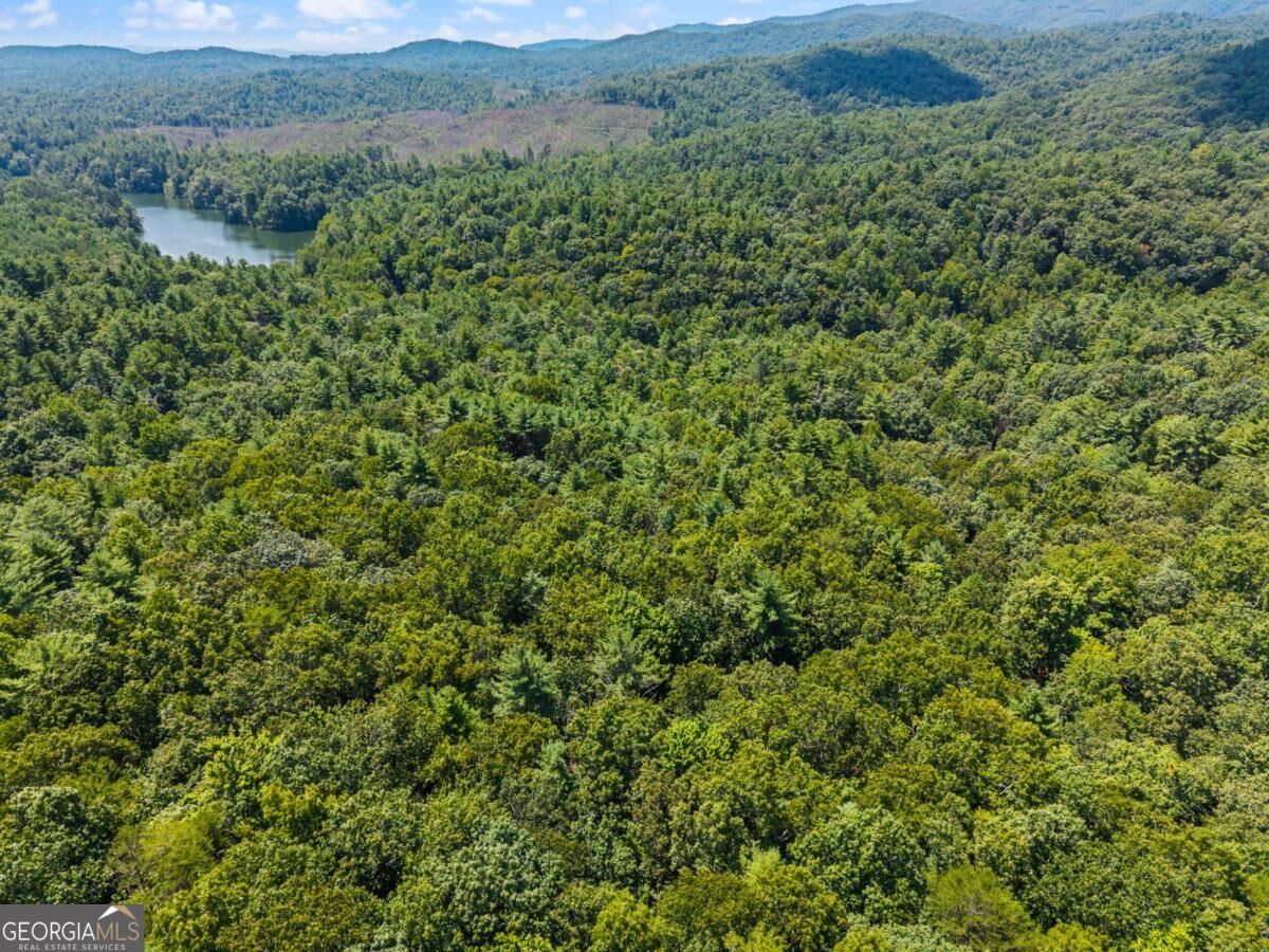 2 A Stevens Ridge Road Ellijay, GA 30540 - Photo 27 of 34 Gallery Image 27