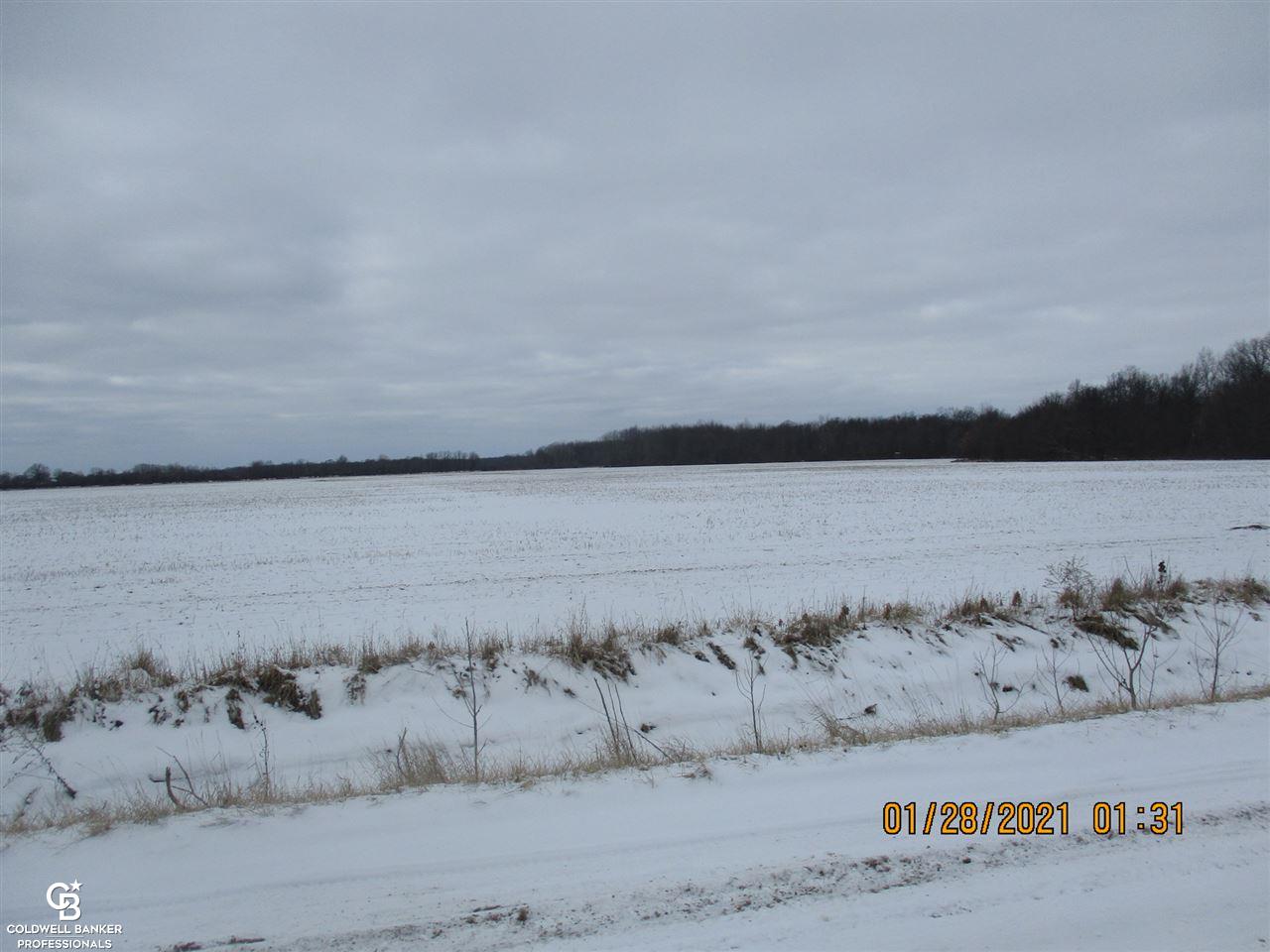0 Place Road New Haven, MI 48050 - Photo 5 of 5 50033216-4.JPG