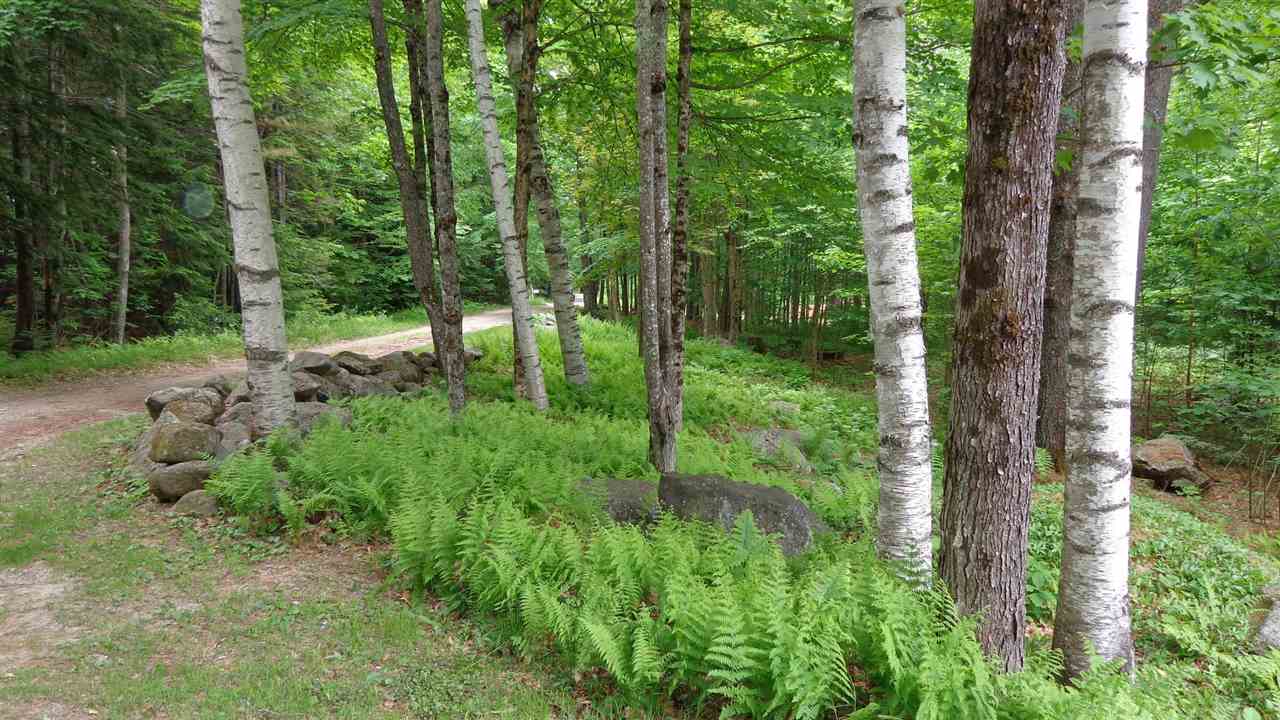 304 Twin Lake Villa Road Springfield, NH 03257 - Photo 25 of 25