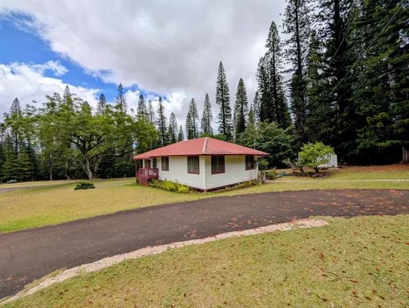 a view of a yard in front of a house with a yard