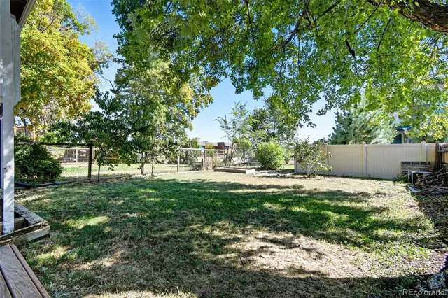 a view of a backyard with plants