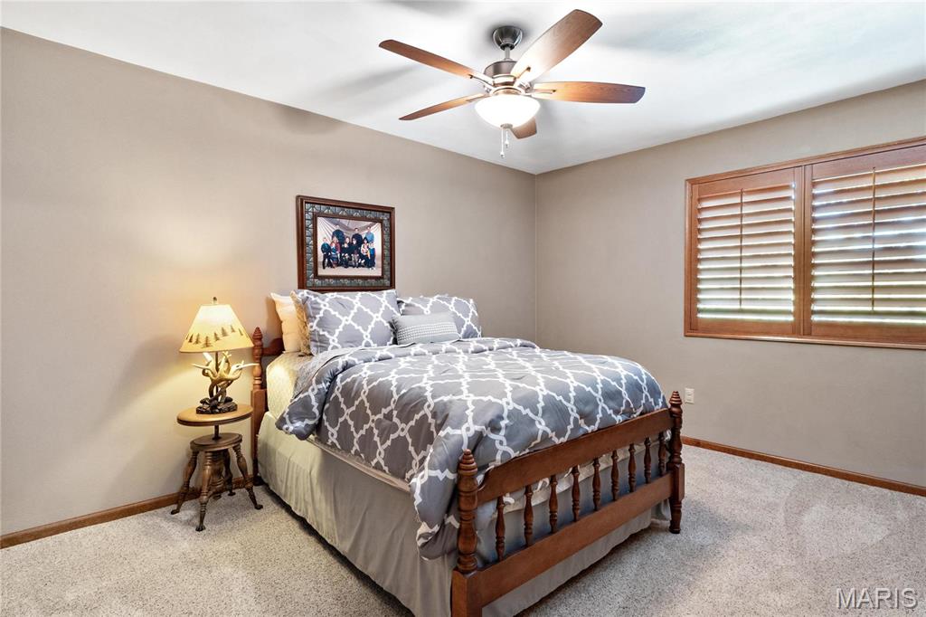 904 Shadow Ridge Crossing O'Fallon, IL 62269 - Photo 36 of 67