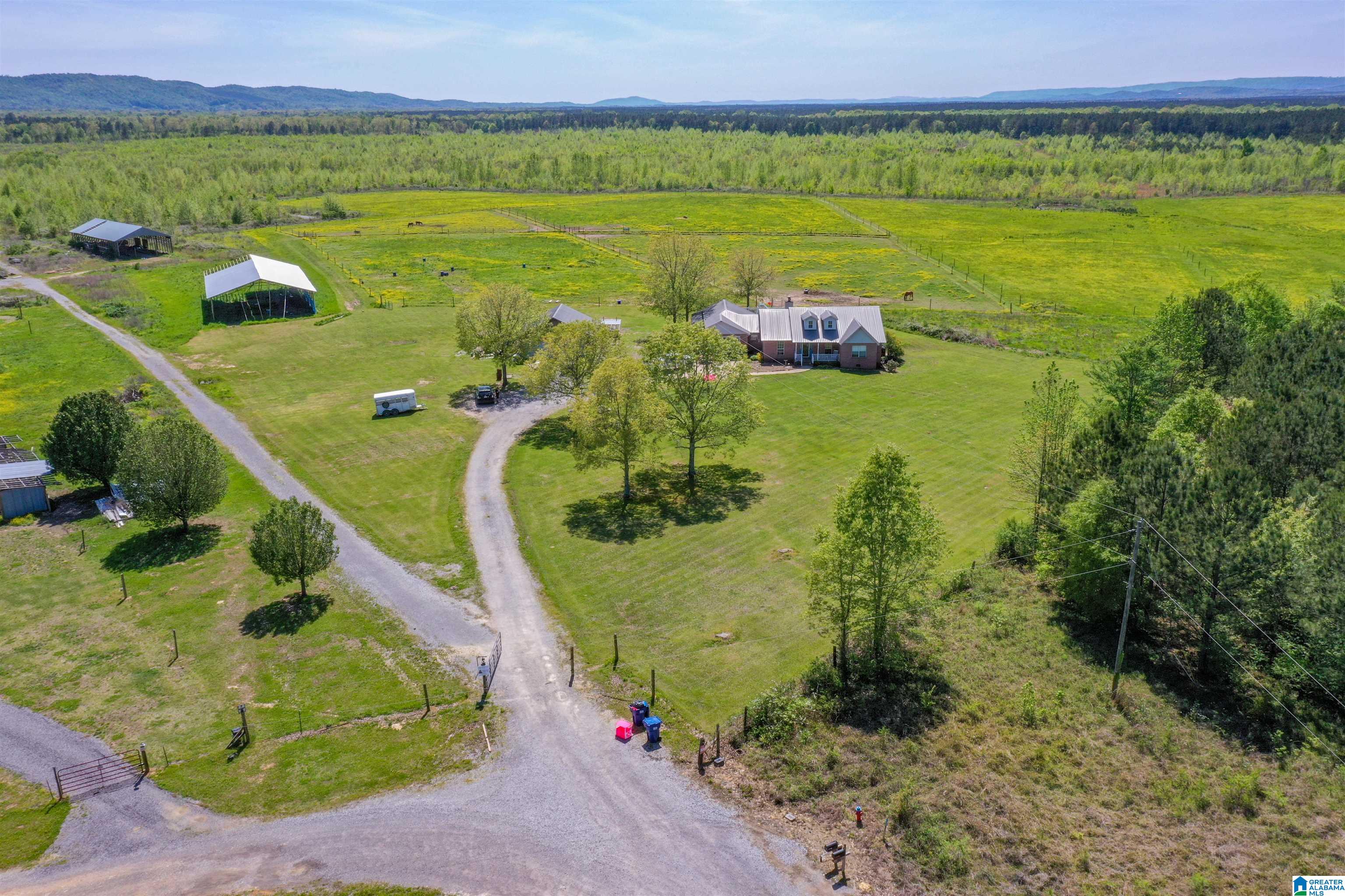 1300 Duncan Farms Road Steele, AL 35987 - Photo 32 of 36