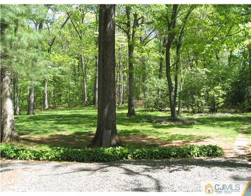125 Clyde Road Somerset, NJ 08873 - Photo 13 of 13 a view of a trees in a yard with a tree
