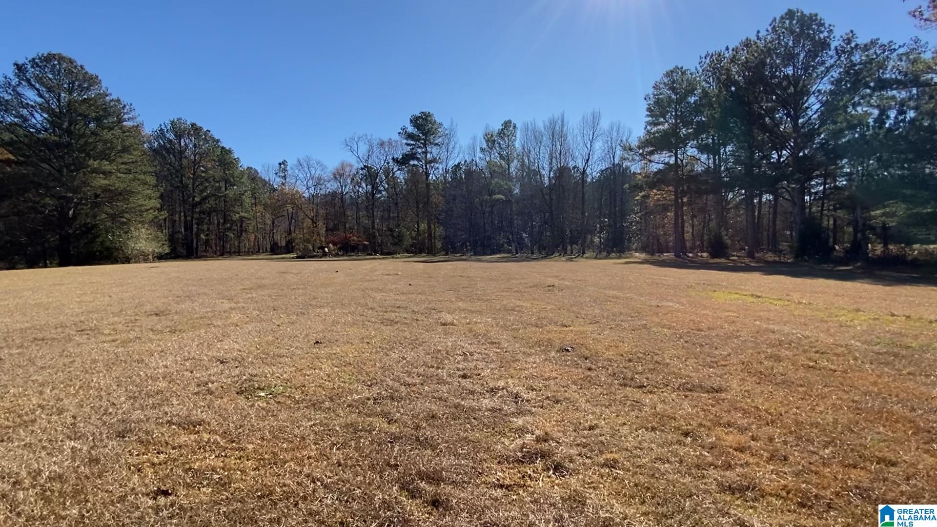 0 Highway 132, Unit 11 / ACRES Oneonta, AL 35121 - Photo 7 of 18