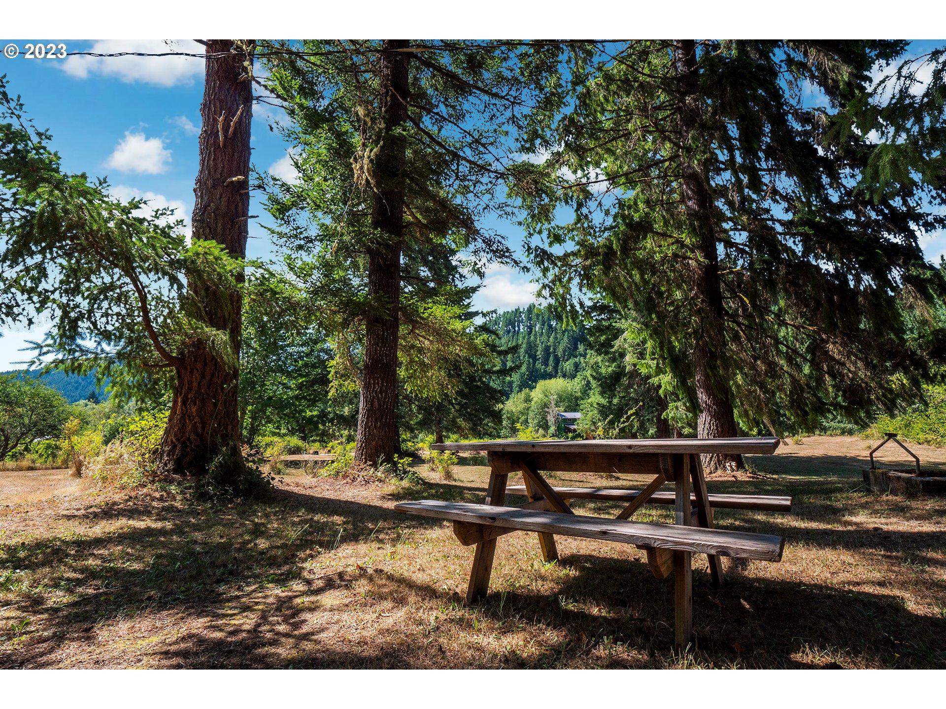 18624 Highway 36 Blachly, OR 97412 - Photo 14 of 46 a view of outdoor space with seating