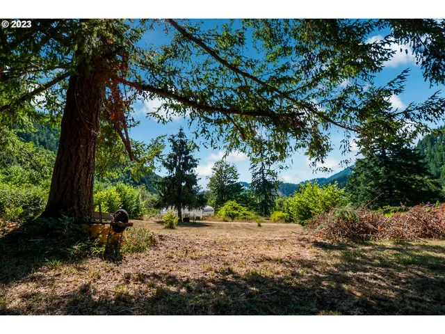 a view of outdoor space with yard